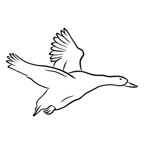 Duck Flying Drawing, Flying Duck Drawing, Duck Sketch, Duck Flying, Fly Drawing, Flying Duck, Duck Drawing, Graphic Desi, Duck Duck