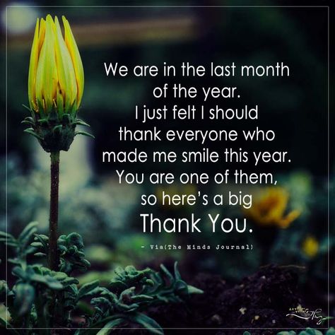 We are in the last month  of the year. I just felt I should  thank everyone who  made me smile this year. - http://themindsjournal.com/we-are-in-the-last-month-of-the-year-i-just-felt-i-should-thank-everyone-who-made-me-smile-this-year/ Last Day Of Year Quotes Feelings, Last Day Of The Year Quotes, Last Month Of The Year, New Month Quotes, Good Times Quotes, Last Day Of The Year, Month Quotes, Body Language Signs, Lovely Good Morning Images