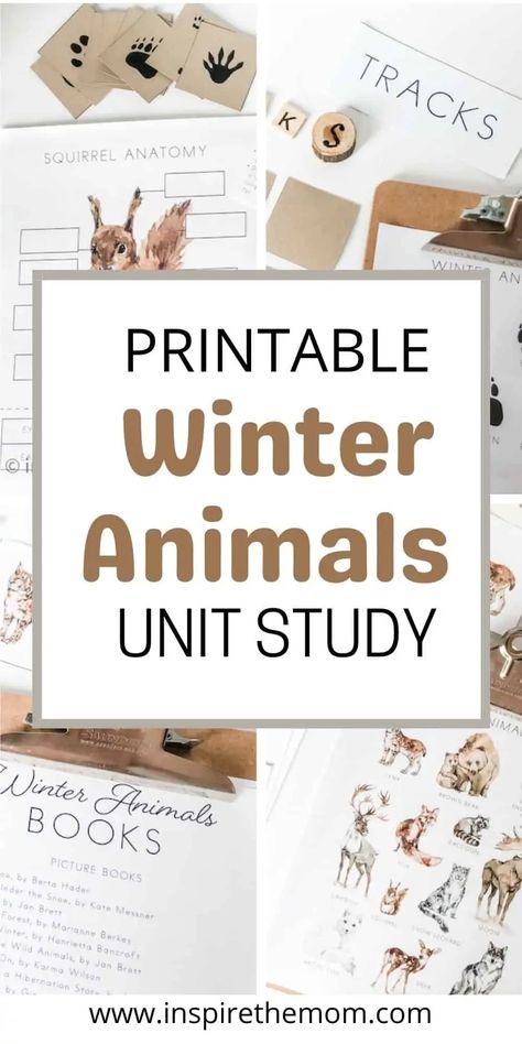 Printable Winter Animals Unit Study - Inspire the Mom Winter Unit Study Preschool, Montessori Hibernation Unit, Winter Animals Science Preschool, Forest Animal Unit Study, Winter Ideas Preschool, Toddler Winter Animal Activities, Snow Unit Study, Hibernation Unit Study, January Unit Studies