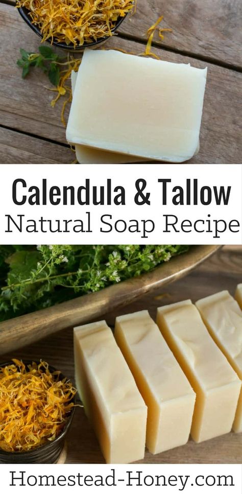 Calendula Tallow Soap Bar Recipe | Homestead Honey Tallow Soap Recipe, Soap Bar Recipe, Tallow Recipe, Crunchy Living, Medicine Garden, Natural Soaps Recipes, Diy Soap Bars, Tallow Soap, Săpunuri Handmade