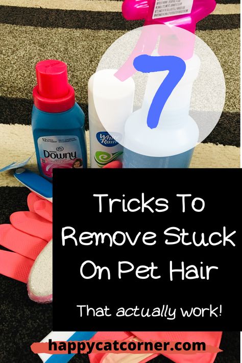 I Tried These 7 Tricks to Get Rid of Cat Hair (This is What Happened) | Happy Cat Corner Cat Corner, Dog Hair Removal, Colorful Hairstyles, Cat Hair Removal, Cleaning Pet Hair, Cats 101, Cheap Ideas, Clean Couch, Cat Cleaning