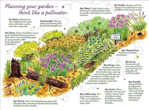 Pollinator Garden Design, Bee Friendly Garden, Habitat Garden, Native Plant Gardening, Hummingbird Garden, Bee Garden, Wildlife Gardening, Master Gardener, Pollinator Garden