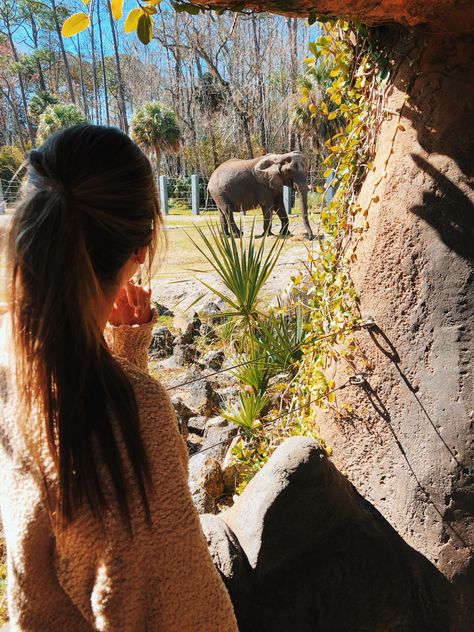 Photo idea at the zoo with an elephant my favorite animal ❤️💕 Zoo Date, Shooting Pose, Zoo Pictures, Zoo Photos, Only Aesthetic, Couple Activities, Cute Date Ideas, Summer Jobs, Perfect Date