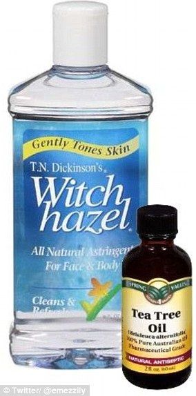 She moisturizes with the Trader Joe's Nourish Antioxidant Facial Moisturizer ($6) which doesn't make her skin flare up (pictured) and uses T.N. Dickinson's Witch Hazel ($3) and Spring Valley Tea Tree Oil ($7) as spot treatments to dry out blemishes (pictured) Best Tea Tree Oil, Tea Tree Oil For Acne, Witch Hazel Toner, Drugstore Products, Migraine Headaches, Cystic Acne, Skin Remedies, Homemade Face Masks, Homemade Face