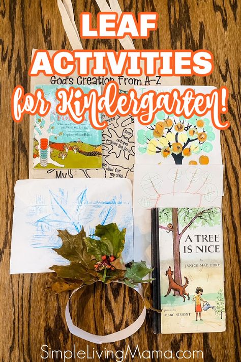 Kindergarten Leaves Unit, My Fathers World Kindergarten, L Is For Leaf, Leaf Lessons, Leaf Activities, Mfw Kindergarten, Leaf Craft Activities, Transitional Kindergarten, Kindergarten Skills