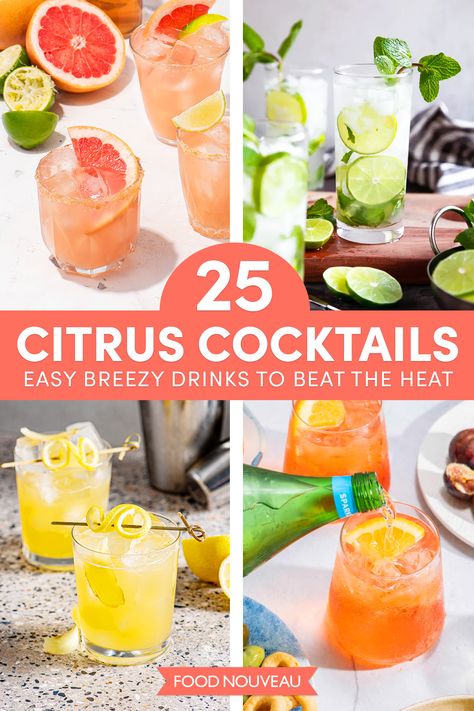 Citrus Cocktail Recipes, Summer Adult Drinks, Refreshing Summer Drinks Alcohol, Summer Cold Drinks, Lemon Restaurant, Lime Cocktail Recipes, Lemon Cocktail Recipes, Hot Weather Drinks, Lemon Cocktails