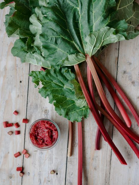 Last week a friend took me foraging. We finished our walk in the kitchen sipping on herbal tea and nibbling on blueberry muffins. She sent me home with giant stalks of the deepest strawberry pink rhubarb I have ever seen fresh from the garden. I couldn’t wait to get home and cook something up with it. Rhubarb […] Infused Sugar, Rhubarb Jam, Strawberry Pink, Blueberry Muffins, Blue Berry Muffins, Herbal Tea, Rhubarb, Granulated Sugar, Small Batches