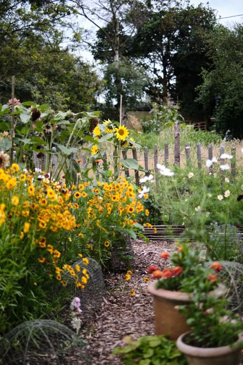 Gardening Wall Ideas, Cottage Garden With Lawn, Cottage Backyard Garden, Southern Cottage Garden, New England Vegetable Garden, Urban Backyard Garden, British Cottage Garden, Cottage Garden Backyard, Vegetable Garden With Flowers