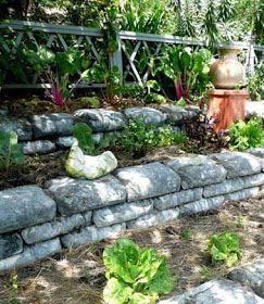 I actually think this is pretty cool looking:  Stones made from bags of concrete, wetted down and left to harden then tear off the paper wrapper. Concrete Bags, The Secret Garden, Tear Off, Unique Gardens, Retaining Wall, Lawn And Garden, Dream Garden, Garden And Yard, Backyard Garden