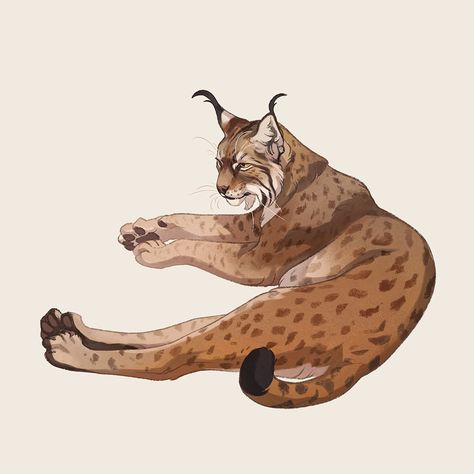 norapotwora Nora Potwora, Creature Drawings, Book Illustrations, Decorative Art, Anime Poses Reference, Lynx, Anime Poses, Christmas Art, Dark Backgrounds