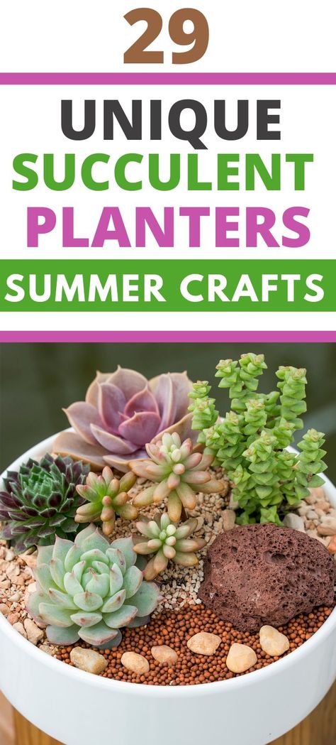 Get inspiration with these creative DIY indoor and outdoor succulent planters. You can make them from wood, concrete, PVC, straws, and more. Look around the house and repurpose materials to make a cute succulent arrangement. Wall-mounted, hanging planters, succulent containers, and vertical garden ideas. Ideas For Succulents, Garden Ideas Large, Succulent Garden Outdoor, Succulent Bowls, Succulent Display, Succulent Planter Diy, Tattoo Plant, Succulent Garden Indoor, Planter Garden