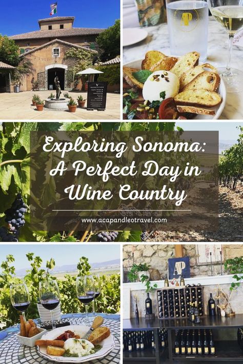 The charming town of Sonoma sits in the heart of Northern California’s wine country, just a short drive from San Francisco, making it an ideal destination for a day trip or a long weekend. More laid-back than its famous neighbor Napa Valley, Sonoma offers a relaxed, welcoming atmosphere for wine lovers seeking a fun, leisurely experience with exceptional wines. Known for its commitment to sustainable farming and thriving farmers’ markets, Sonoma also boasts numerous farm-to-table restaurants, where fresh, local ingredients are always on the menu. Downtown Sonoma California, Napa California Aesthetic, Napa Valley California, Napa Trip, California Winery, Wine Country Travel, Napa Wine, Sonoma California, Napa California