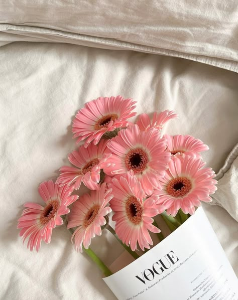 Pink Minimal Aesthetic, Visual Wallpaper, Pink Flowers Aesthetic, Aesthetics Pink, Gerbera Flower, Pink Gerbera, Paper Daisy, Soft Pink Theme, Pretty Pink Princess