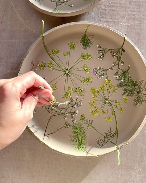 Dill Flowers, Unique Mugs, Herbs And Flowers, Clay Stamps, Therapeutic Art, Surface Decoration, Ceramic Techniques, Plaster Art, Pottery Techniques