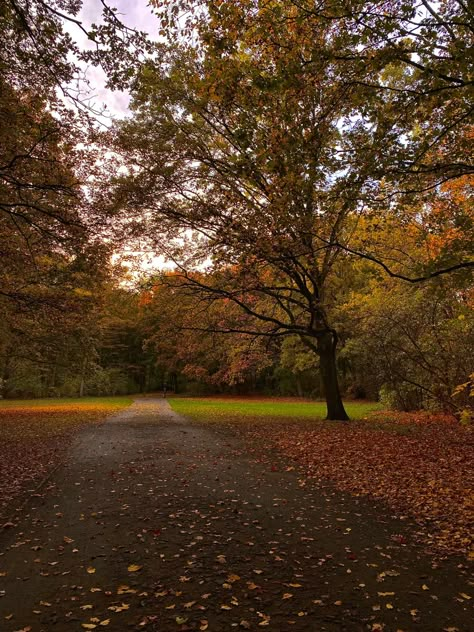 Park Aesthetic Pictures, Alexia Core, September Background, Berlin Autumn, Fall Core, Park In Autumn, Autumn Farm, Fall Board, City Tree