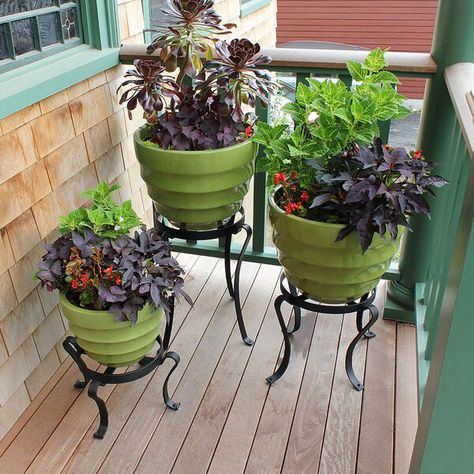 Shop Bellacor for Wrought Iron Patio Flowerpot Stand by ACHLA Designs and other Plant Stands for your home. Free shipping on most lighting, furniture and decor every day. Patio Flower Pots, Wrought Iron Plant Stands, Doorway Decor, Iron Plant Stand, Indoor Outdoor Patio, Patio Flowers, Iron Planters, Support Pour Plante, Plant Stands Outdoor