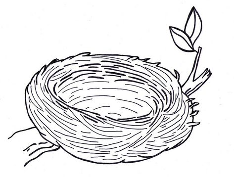 Bird Nest Drawing Nest Images, Egg Coloring Page, Bird Template, Cartoon Birds, Bird Coloring Pages, Birds Nest, Bird Crafts, Coloring Eggs, Clipart Black And White