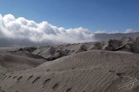 Ash Landscape, Traditional Landscaping, Ocean Beauty, Hot Desert, Landscaping Tips, Desert Landscape, Fantasy Novel, Landscaping Plants, Desert Landscaping