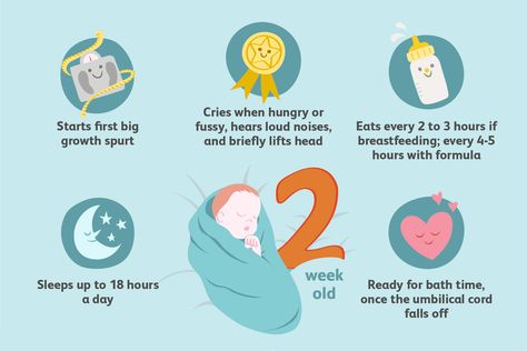 Your Guide to Your 2-Week-Old Baby's Milestones and Development — Parents How Much Formula, Baby Development Milestones, Formula Fed Babies, 2 Month Old Baby, Kids Awards, Development Milestones, Growth Spurt, Breastfed Baby, Post Baby