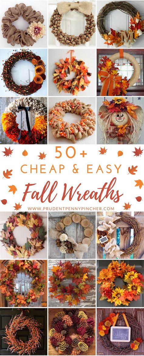 50 Cheap and Easy DIY Fall Wreaths Diy Fall Wreaths, Easy Fall Wreaths, Dekor Diy, Penny Pincher, Diy Fall Wreath, Fall Deco, Autumn Crafts, Fall Projects, Deco Floral