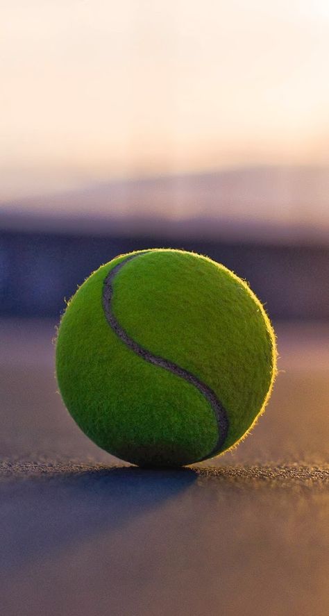 Tennis Wallpaper, Squash Tennis, Photography Sport, Tennis Photography, Tennis Pictures, Tennis Art, Tennis Photos, Tennis Aesthetic, Tennis Party