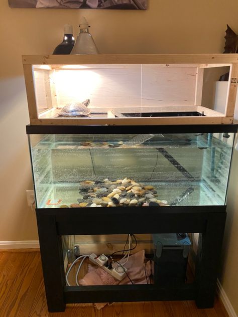 Red Ear Turtle Tank Ideas, Red Eared Slider Turtle Habitat Diy, Red Ear Slider Turtle Tank Ideas, Red Eared Slider Turtle Habitat, Aquatic Turtle Tank Ideas, Red Eared Slider Tank, Turtle Basking Area, Turtle Tub, Aquatic Turtle Habitat