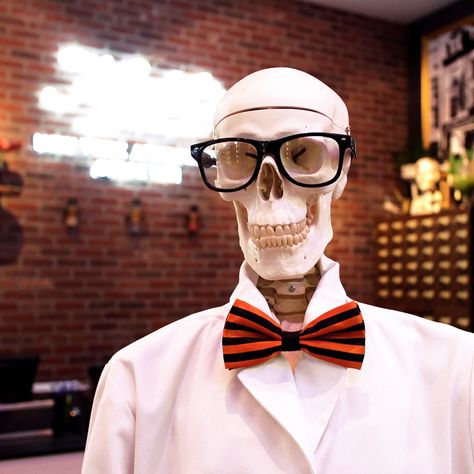 Mr. Bones has been dressing up for Halloween since, like, forever ago. #hipsterbones #happyhalloween https://goo.gl/qaxmCH Mr Bones, Beauty Beast, Dressing Up, Beauty And The Beast, Happy Halloween, Bones, Dress Up, Halloween, Beauty