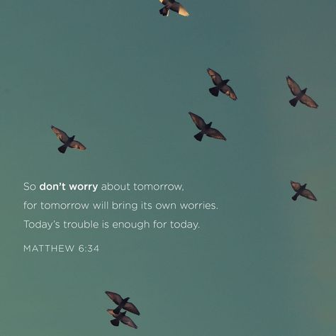 Dont Worry About Tomorrow, Bible Challenge, Ayat Alkitab, Matthew 6, Daily Bible Verse, The Kingdom Of God, King James Version, Verse Of The Day, Holy Bible