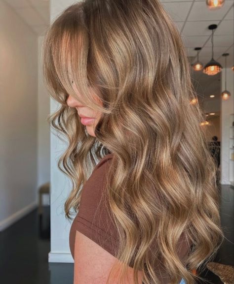 Neutral Dark Blonde Hair, Biscuit Blonde Hair, Light Brown Hair Inspiration, Biscuit Hair, Light Brown Hair Ideas, Best Fall Hair Colors, Bold Balayage, Warm Bronde, Bold Highlights