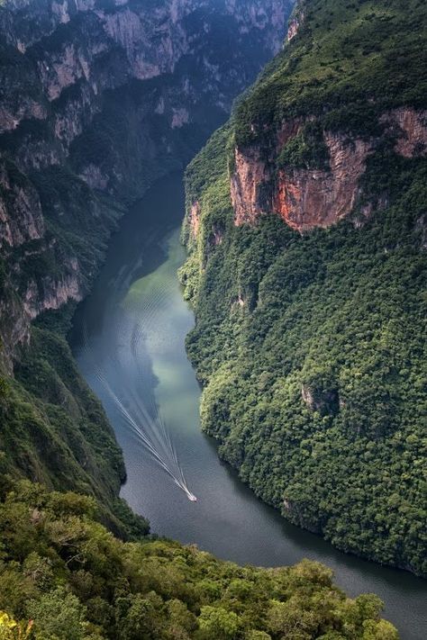 Cañón del Sumidero, Chiapas. Explore Mexico, Mexico Travel, America Travel, Places Around The World, Amazing Nature, Beautiful Landscapes, Wonders Of The World, Places To See, Beautiful Nature