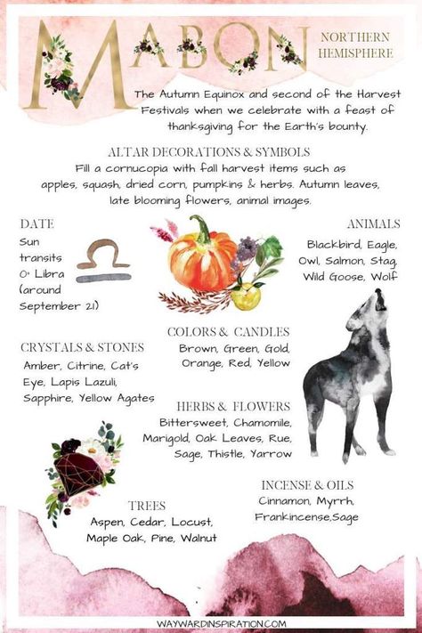 Wicca Holidays, Wiccan Sabbats, Tarot Significado, Magia Das Ervas, Autumnal Equinox, Wheel Of The Year, Wicca Witchcraft, Pagan Witch, Baby Witch