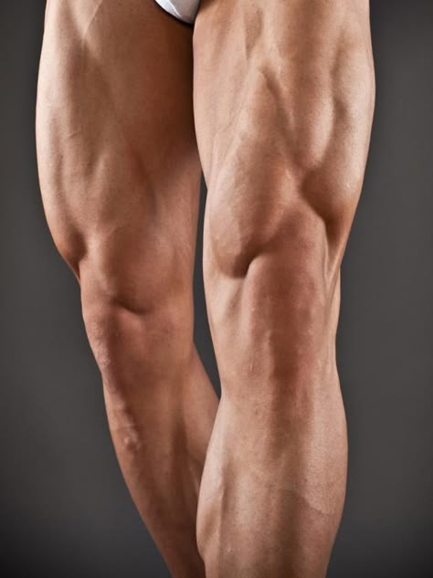 leg workouts, lower body workouts, lower body strength, strength workouts Leg Anatomy, 남성 근육, Strength Routine, Strength Conditioning By Body Part, Strength Workouts, Best Leg Workout, Man Anatomy, Leg Workouts, Muscle Anatomy