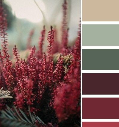 Maroon Color Palette, Burgundy Room, Burgundy Bedroom, Burgundy Color Scheme, Vino Color, Burgundy Colour Palette, Burgundy Living Room, House Color Palettes, Red Color Schemes