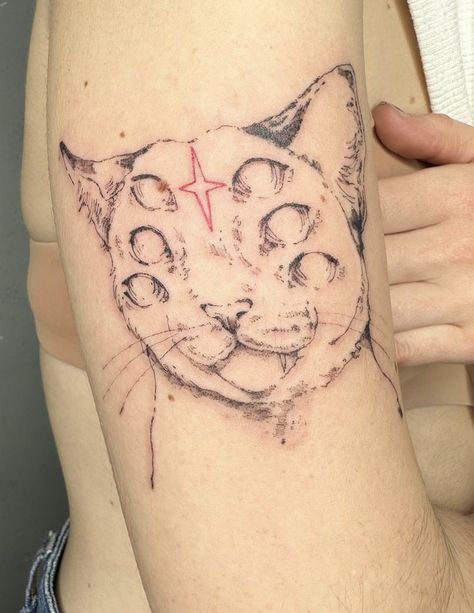 Starry Cat, Kitty Tattoo, The Cutest, Kitty, Tattoos, On Instagram, Instagram