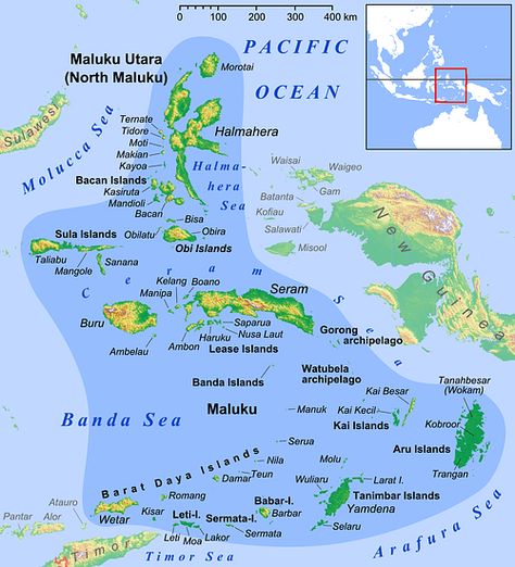 Maluku Islands, Island Tattoo, Age Of Exploration, Spice Island, West Papua, East Indies, Christopher Columbus, World Maps, My Roots