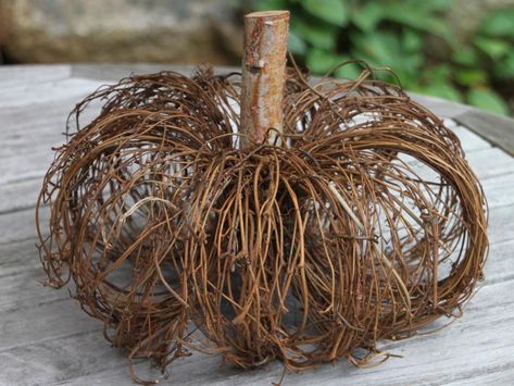 How to Craft a Pumpkin from Grapevine Wreaths | HGTV Honeysuckle Vines, Grapevine Pumpkin, Twig Crafts, Fall Leaf Wreaths, Hgtv Garden, Pumpkin Pictures, Rustic Pumpkin, Pumpkin Centerpieces, Diy Pumpkin