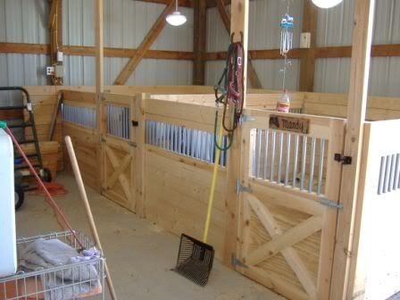 Posted Image Barn Stall Ideas, Mini Horse Barn, Miniature Horse Barn, Mini Donkeys, Diy Horse Barn, Miniature Ponies, Horse Barn Ideas Stables, Barn Stalls, Small Barns