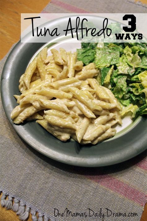 Tuna Alfredo, Easy Tuna Recipes, Pasta With Alfredo Sauce, Tuna Recipe, Pasta Recipes Alfredo, 30 Min Meals, Healthy Tuna, Alfredo Sauce Recipe, Alfredo Recipe