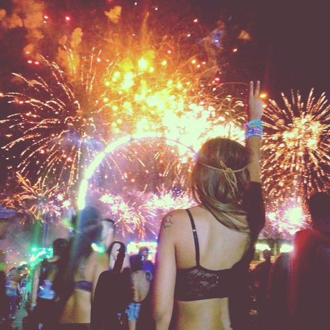 Electric daisy carnival 2014 Electric Daisy, Edc Las Vegas, Young Wild Free, Electric Daisy Carnival, Cheap Hotel, Hippie Costume, Edm Festival, Amazing Home, Rave Festival