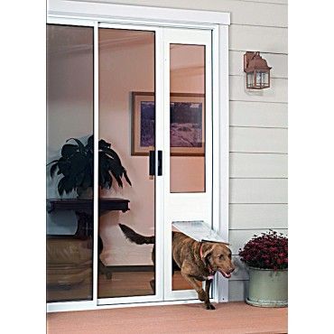 Pet Door Sliding Glass Door, Glass Dog Door, Sliding Door Dog Door, Sliding Glass Dog Door, Dog Flap, Pet Patio, Dream Home Outside, Dog Hygiene, People With Dogs