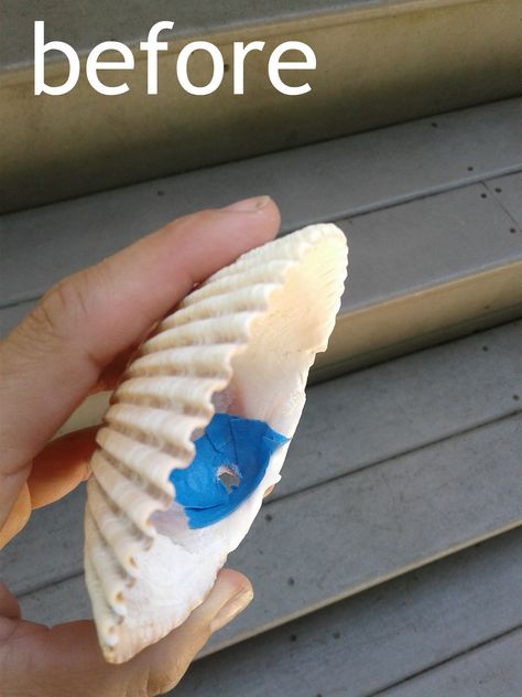 DIY seashell decor |  How to drill a hole in a seashell to make beautiful beach decor. How To Drill A Hole In Sea Shells, How To Drill Holes In Oyster Shells, Drilling Holes In Shells, How To Drill A Hole In An Oyster Shell, How To Drill A Hole In A Seashell, How To Make Holes In Shells, How To Drill Holes In Shells, Oyster Crafts, Seashell Creations