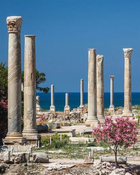 Lebanese Buildings, Ancient Greek Garden, Tyre Lebanon, Ancient Places, Roman Ruins, The Romans, Carthage, The Ruins, Ancient Architecture