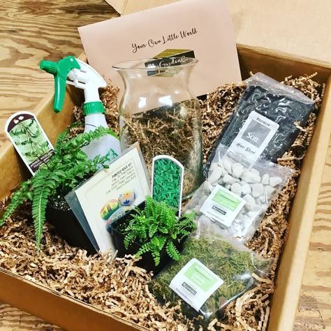 Plant Hampers, Plant Gift Ideas, Hampers Ideas, Plant Box, Plant Gift, Garden Animals, Green Box, Plant Shop, Monthly Subscription Boxes