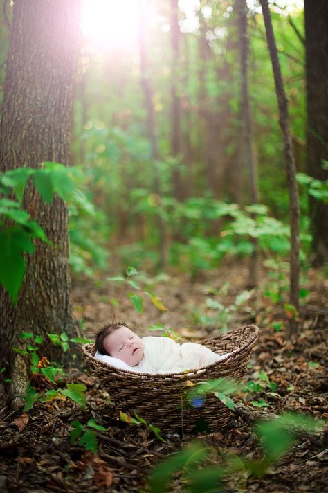 Newborn Outdoor Baby Photography, Outdoor Newborn Photography, Infant Photography, Outdoor Baby, Baby Poses, Newborn Poses, Foto Baby, Newborn Shoot, Baby Portraits