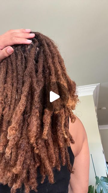 Uma on Instagram: "If you need a sign, here’s one 💗 . . . . #locs #curlylocs #dyedlocs" Adore Honey Brown Hair Color, Balayage Locs, Fall Loc Colors, Dyed Loc Tips, Ombre Locs Black Women, Honey Brown Locs Black Women, Honey Blonde Locs Black Women, Dark Brown Locs, Loc Hair Color Ideas