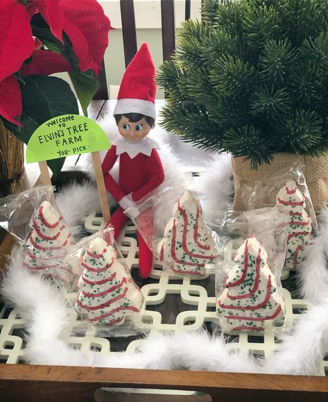 Elf On The Shelf Encanto, Elf On A Shelf Tree Ideas, Trees For Sale Elf On Shelf, Elf On The Shelf In The Tree Ideas, Tree Farm Elf On The Shelf, Elf On Shelf Tree Farm, Elf In Tree Ideas, Christmas Tree Elf On The Shelf, Elf Christmas Tree Farm