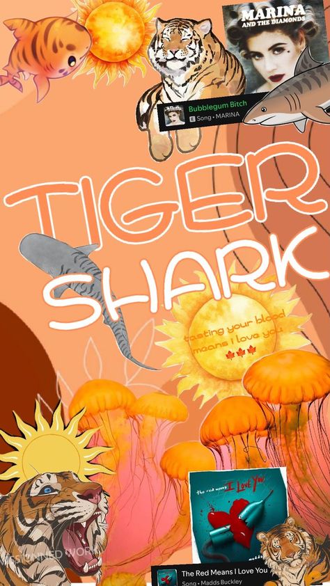 tiger shark Red Meaning, Shark Bait, Tiger Shark, Marina And The Diamonds, Anime Art, Songs