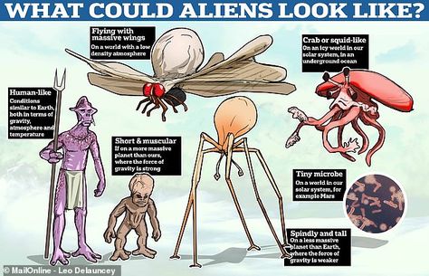 Mystery: If aliens do exist, what might they actually look like? MailOnline asked a number of experts and these were some of their answers Do Aliens Exist, Crazy Creatures, Types Of Aliens, Spec Evo, Speculative Evolution, Saturns Moons, Jupiter Moons, Alien Life Forms, Different Planets