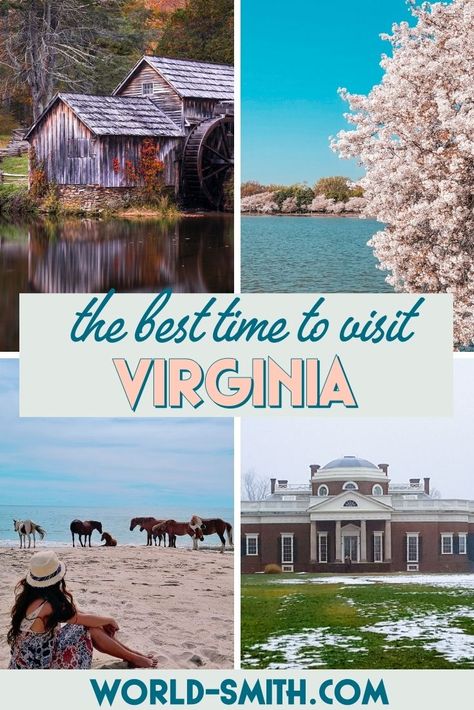 Pin this! The Best Time to Visit Virginia Visit Virginia, Virginia Fall, Round The World Trip, Shenandoah National Park, Central America Travel, Us Travel Destinations, Visit Florida, Usa Travel Guide, Road Trip Fun