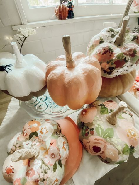 Cardboard Pumpkin Painting, Ladies Pumpkin Painting Party, Beautiful Painted Pumpkins, Pumpkin Decorating Party For Adults, Pumpkin Paint And Sip, Pumpkin Painting Party Adults, Flower Painted Pumpkins, Pretty Painted Pumpkins, Pumpkin Painting Ideas Flowers